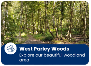 Explore West Parley Woods